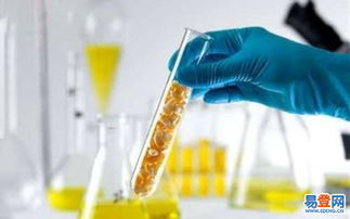 黄岛进出口代理 助力企业拓展国际市场的关键伙伴