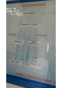 上海代理新西兰果汁进口清关与进出口代理服务全解析